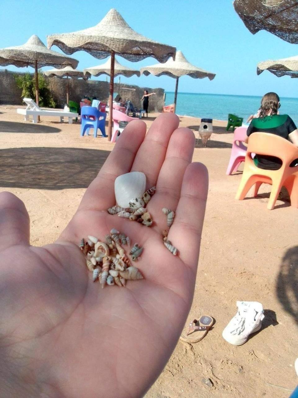 New Marina Heart Of * Hurghada